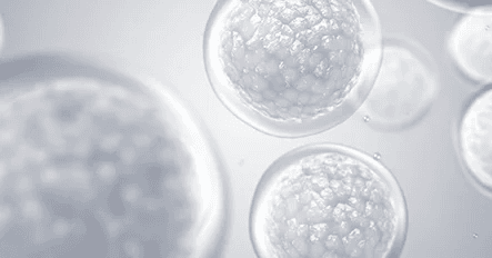 Injeksi Stem Cell Sumsum Tulang