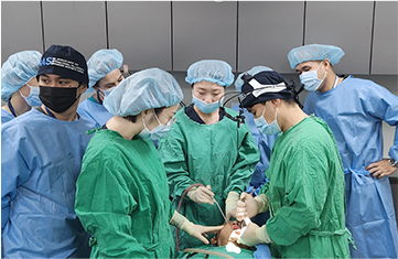 Operasi Kontur Wajah secara LIVE