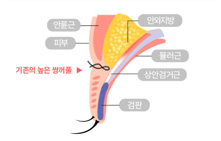 AB Plastic Surgery