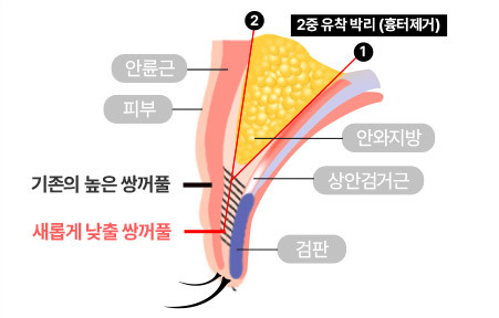 AB Plastic Surgery