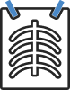 Fungsi
paru-paru