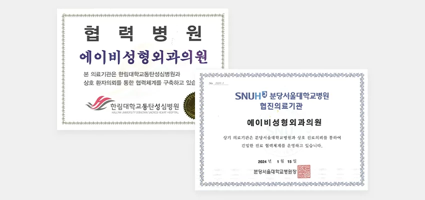 주기적인 국제 학회 진행