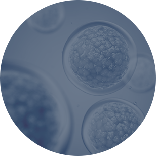 Advanced Regenerative Medicine