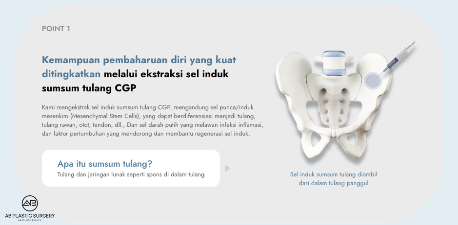 Efek sel punca CGP dari sumsum tulang dalam memperkuat kemampuan regeneratif tubuh